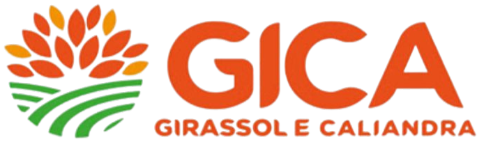 Girassol e Caliandra