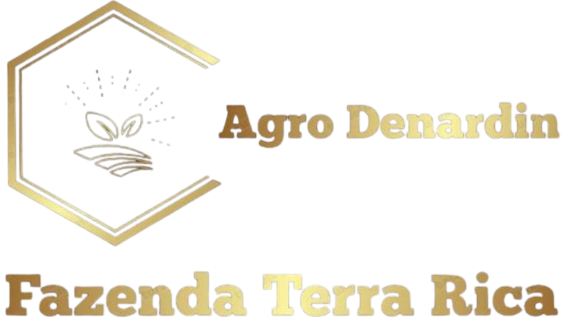 Fazenda Terra rica